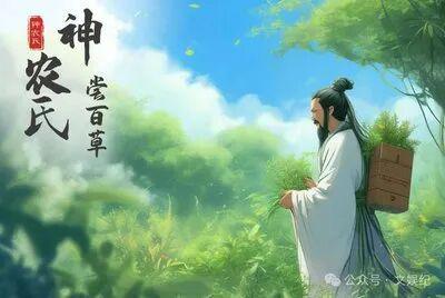  高效节气饮食指南：二月十六食补与养生效能最大化方案 IT技术 高效节气饮食指南：二月十六食补与养生效能最大化方案 IT技术