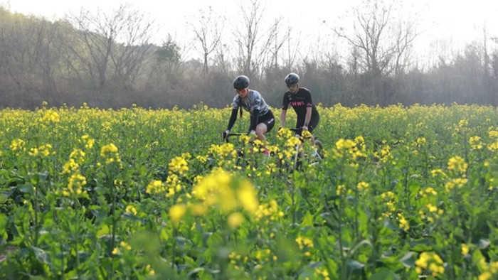 【深度】数据解码春假赏花经济:三大结构性变量重塑文旅消费新格局 文化旅游