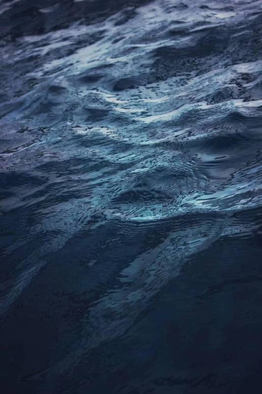 信用卡全额计息:技术机制拆解与风险规避全攻略 股票财经