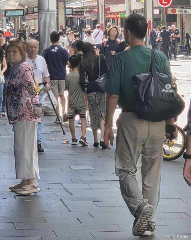  “背影经济学”：从侯佩岑悉尼度假看明星家庭的隐私守护之道 娱乐新闻