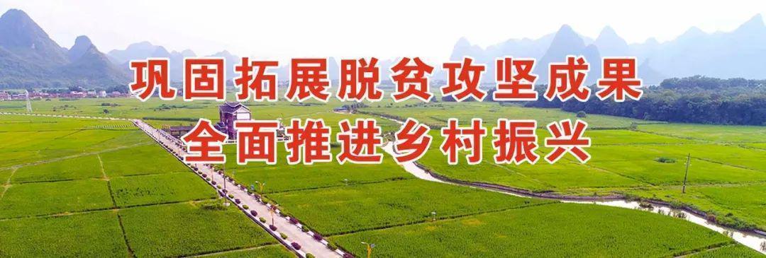  二十年的“死结”终于解开了——柳城县领导干部下访化解陈年积案的故事 新闻