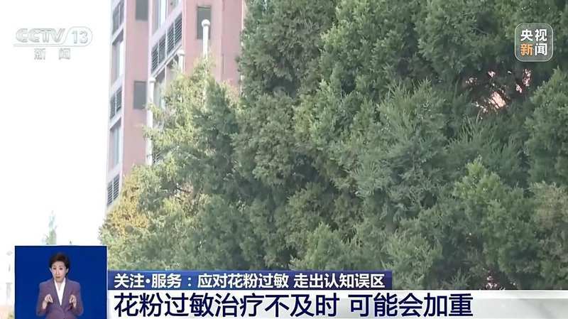 从误区到科学:深度解析花粉过敏的免疫学机制与诊疗路径 健康养生