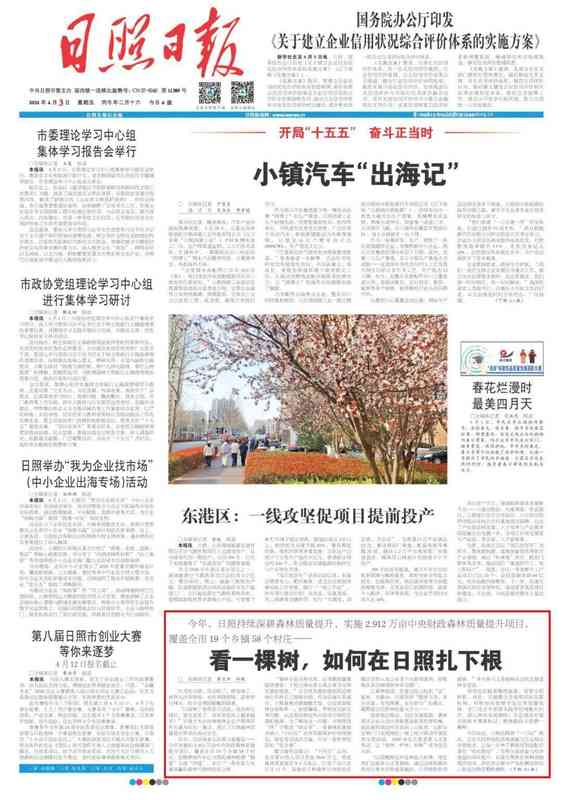 技术破局:日照森林质量提升的精准抚育方法论与七大创新模式 新闻 技术破局:日照森林质量提升的精准抚育方法论与七大创新模式 新闻 技术破局:日照森林质量提升的精准抚育方法论与七大创新模式 新闻 技术破局:日照森林质量提升的精准抚育方法论与七大创新模式 新闻 技术破局:日照森林质量提升的精准抚育方法论与七大创新模式 新闻