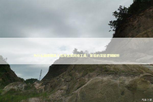 为什么越来越多人选择这类网络工具:背后的深层逻辑解析 为什么越来越多人选择这类网络工具:背后的深层逻辑解析 IT技术