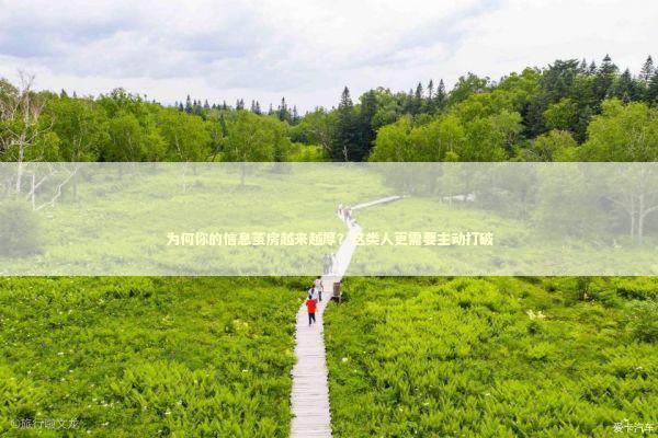 为何你的信息茧房越来越厚？这类人更需要主动打破 新闻