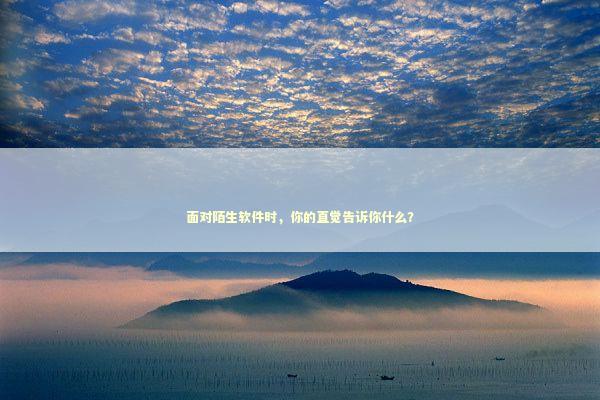 面对陌生软件时,你的直觉告诉你什么? 面对陌生软件时,你的直觉告诉你什么? IT技术