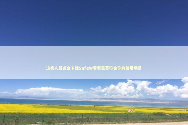 这类人最适合下载SafeW看看是否符合你的使用场景 这类人最适合下载SafeW看看是否符合你的使用场景 IT技术