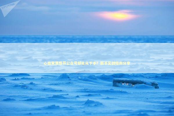 心血来潮想开公众号却无从下手?新手实战指南分享 心血来潮想开公众号却无从下手?新手实战指南分享 IT技术